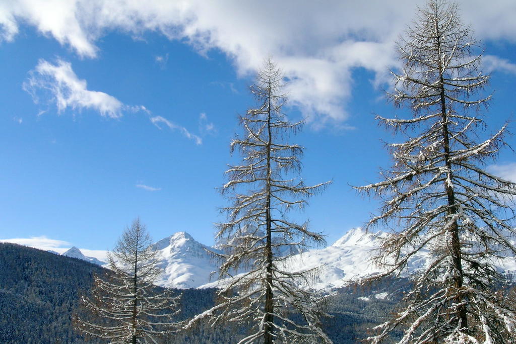 Chesa La Furia Pontresina